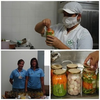 Cómo procesar frutas y verduras