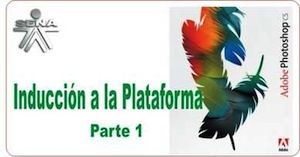 Corel Draw Curso SENA Virtual