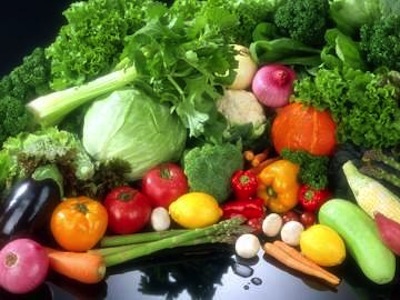 Curso procesamiento de Frutas y Verduras SENA