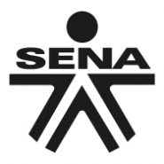 Curso Virtual de Auditoria Informática SENA