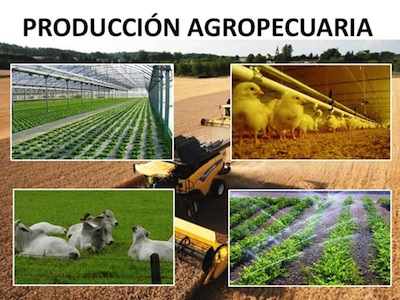 El SENA convoca al sector Agropecuario
