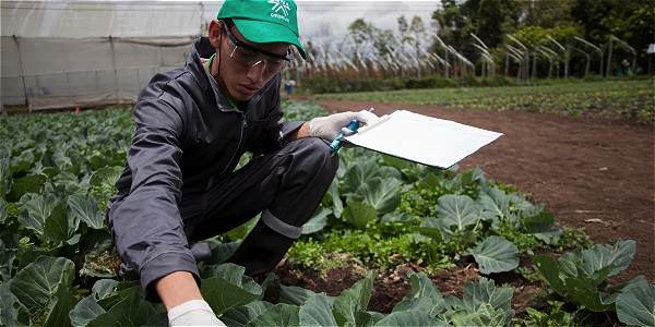 en-el-2017-cursos-agro-en-el-sena